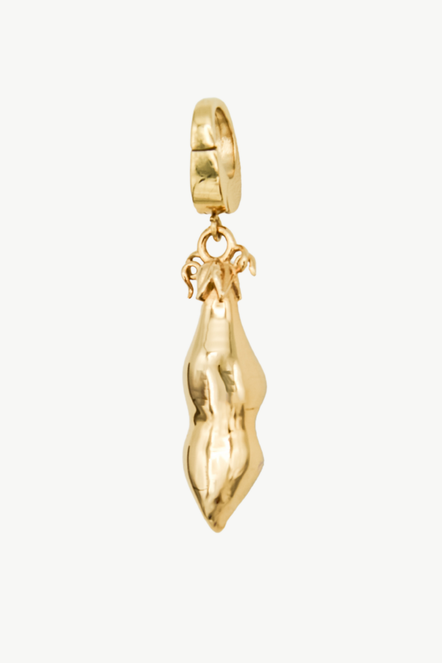 The Two Peas in a Pod Charm