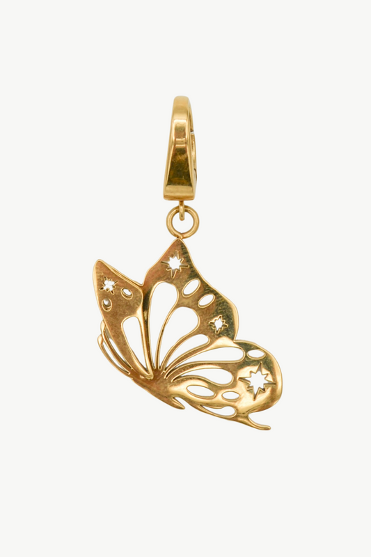Le charme du papillon