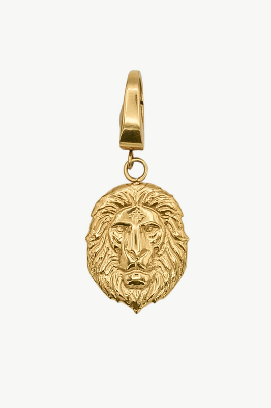 Le charme du lion